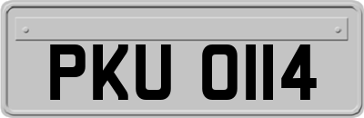 PKU0114