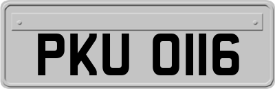 PKU0116