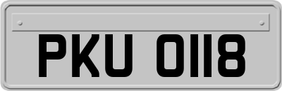 PKU0118