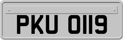 PKU0119