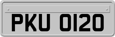PKU0120