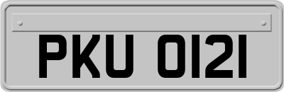 PKU0121