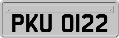 PKU0122