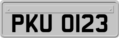 PKU0123