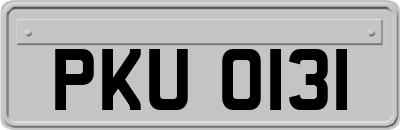 PKU0131