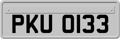 PKU0133