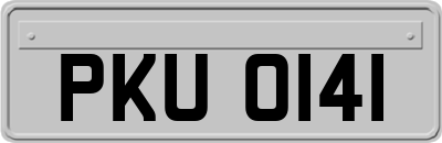 PKU0141
