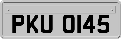 PKU0145