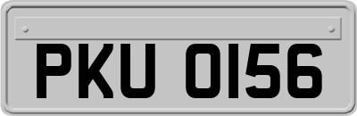 PKU0156