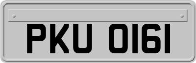 PKU0161