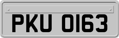 PKU0163
