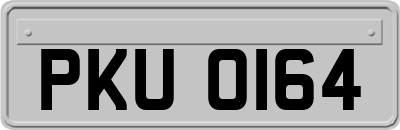 PKU0164