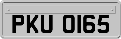 PKU0165