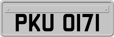 PKU0171