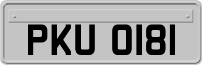 PKU0181
