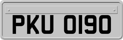 PKU0190