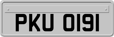 PKU0191