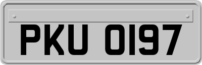 PKU0197