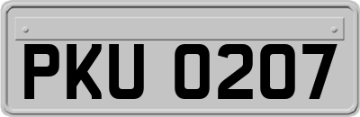 PKU0207