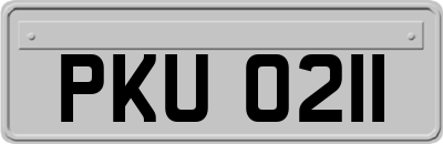 PKU0211