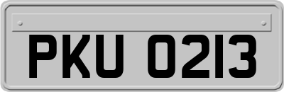 PKU0213