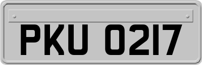 PKU0217