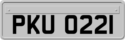 PKU0221