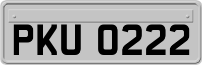 PKU0222