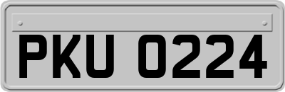 PKU0224