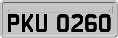 PKU0260