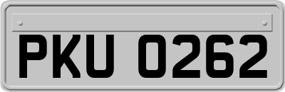 PKU0262
