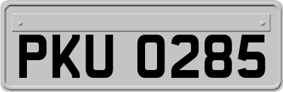 PKU0285