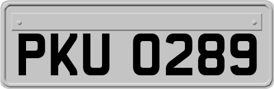 PKU0289