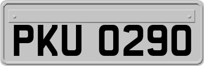 PKU0290