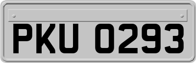 PKU0293