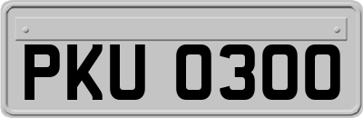PKU0300
