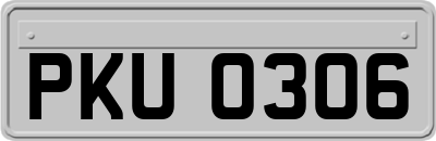 PKU0306