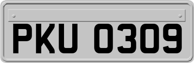 PKU0309