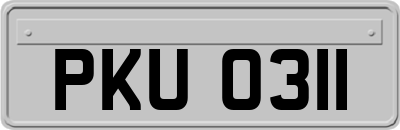 PKU0311