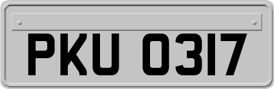 PKU0317