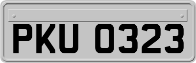 PKU0323