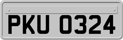 PKU0324