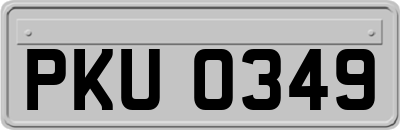 PKU0349