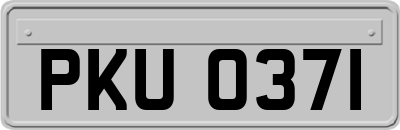 PKU0371