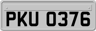 PKU0376