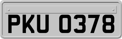 PKU0378