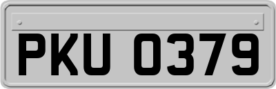 PKU0379
