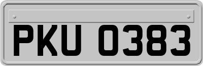 PKU0383