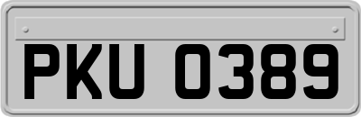 PKU0389