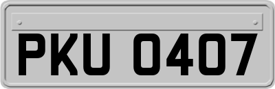 PKU0407